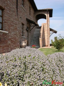 Farmhouse Andrea 10